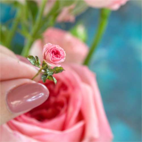 TUTORIAL Miniature Austin rose with cold porcelain or air dry clay | PDF + video