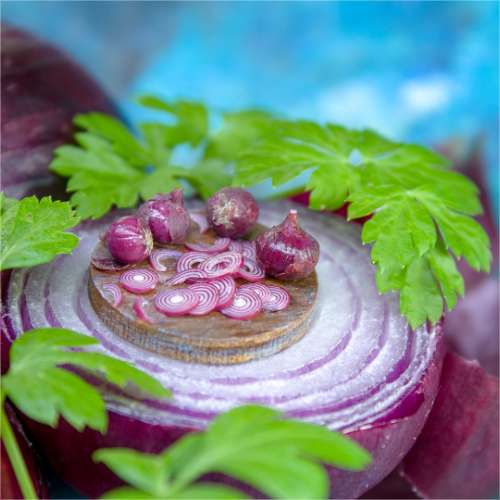 TUTORIAL Miniature red onion with polymer clay | PDF + video