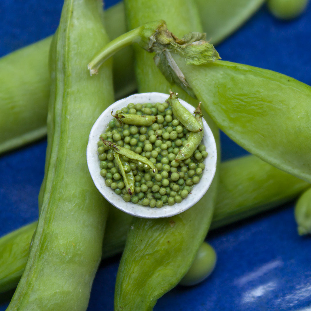 TUTORIAL Miniature peas with polymer clay | PDF + video