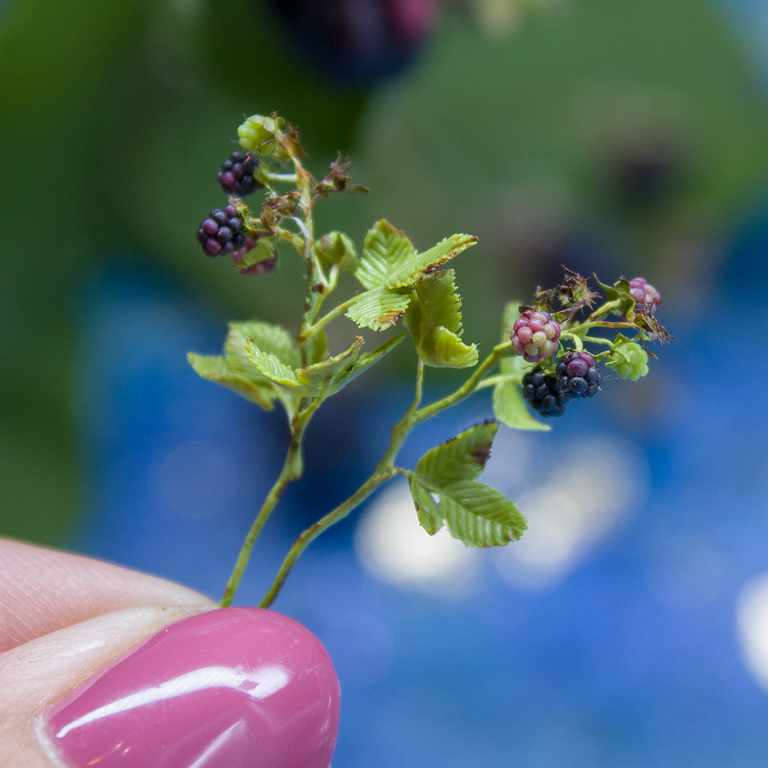 TUTORIAL Miniature blackberry branch with polymer clay for 1:12 scale dollhouse | PDF + video