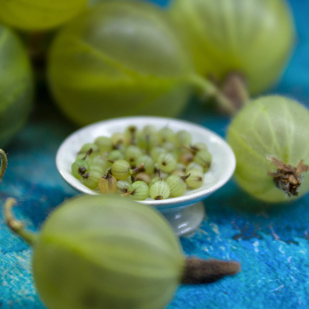 TUTORIAL Miniature gooseberries with polymer clay | PDF + video