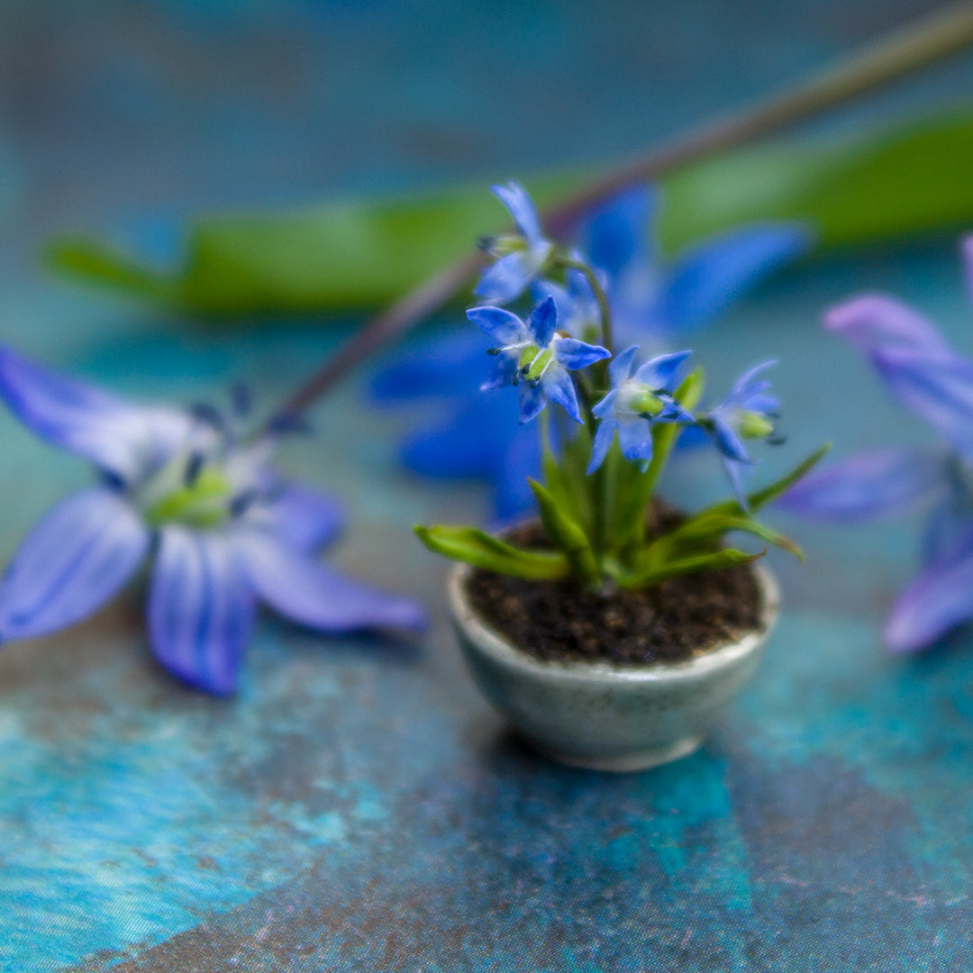 TUTORIAL Miniature wood squill with air dry clay | PDF + video
