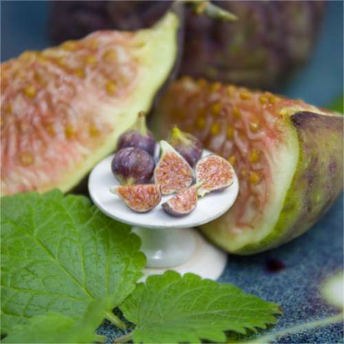 TUTORIAL Miniature fig cane with polymer clay | PDF + video