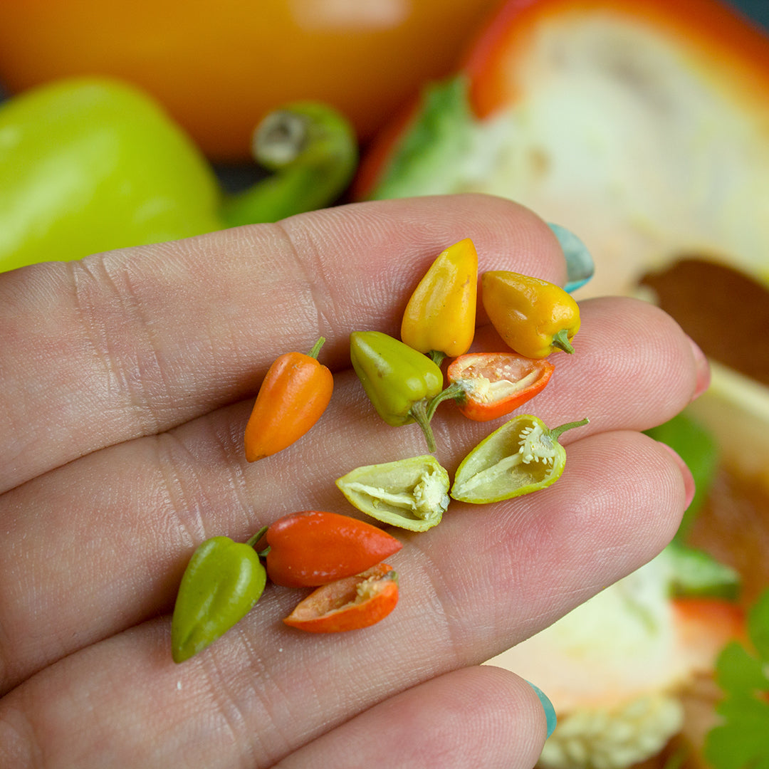 TUTORIAL Miniature pepper with polymer clay for 1:12 scale dollhouse | PDF + video