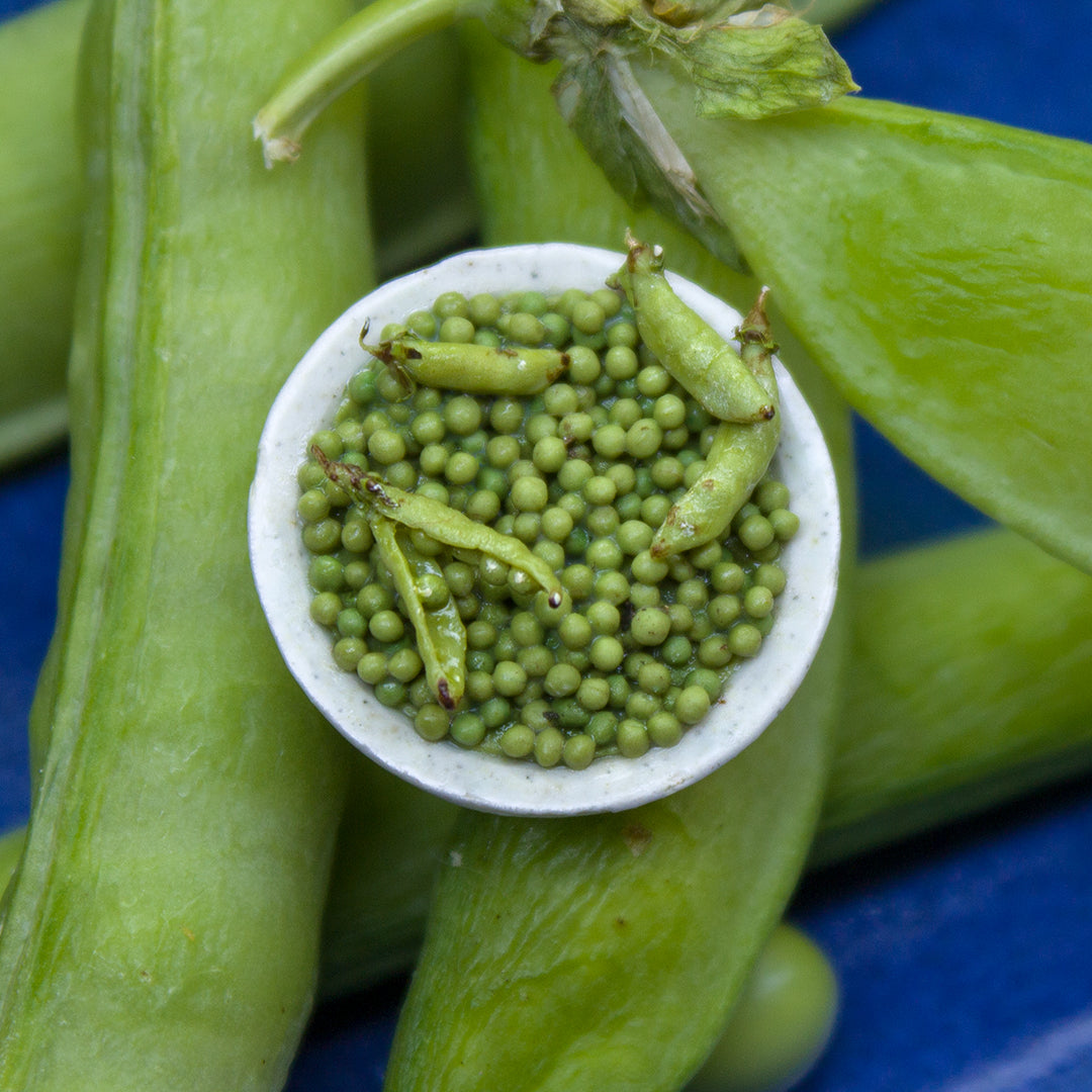 TUTORIAL Miniature peas with polymer clay | PDF + video