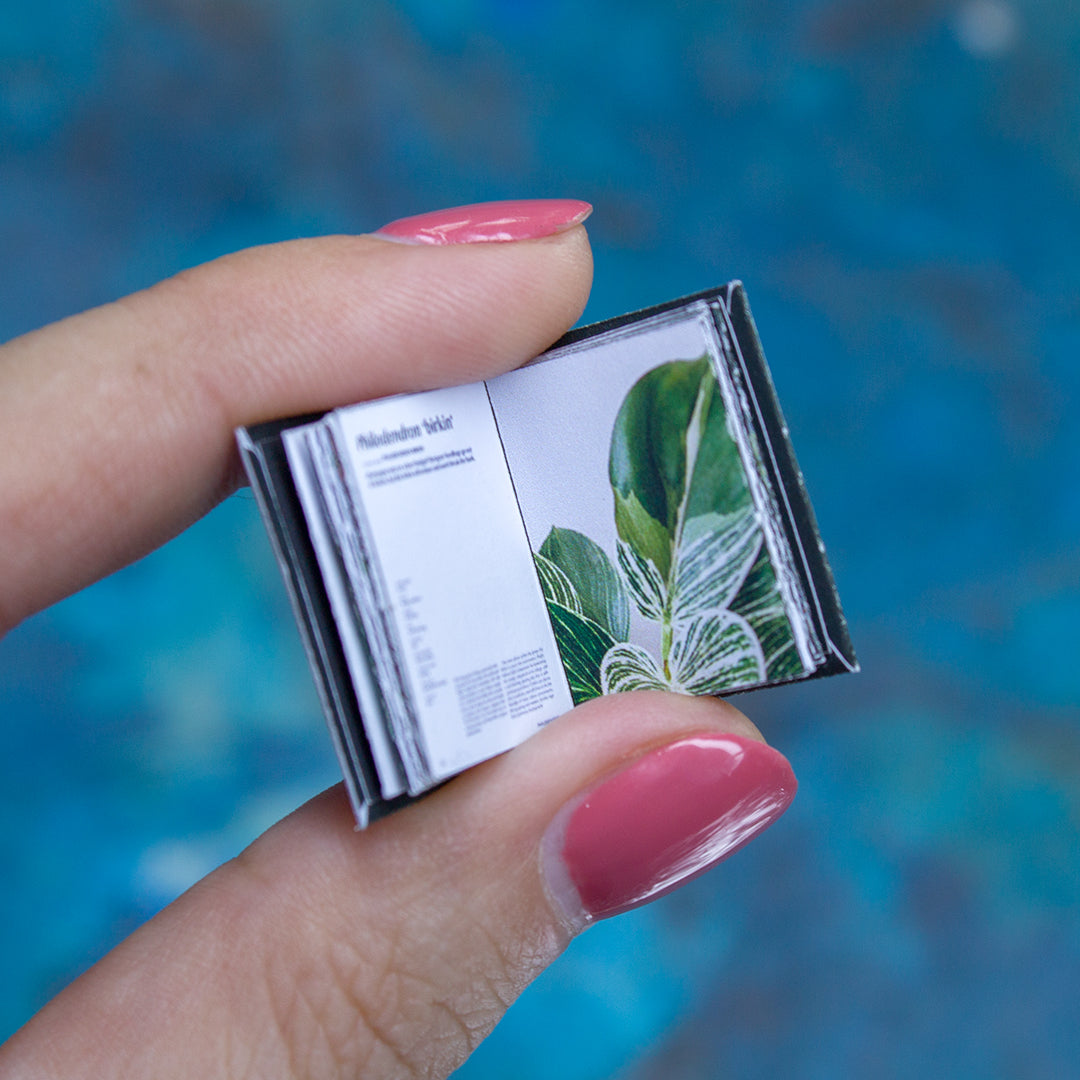 TEMPLATE Miniature book about plant | PDF