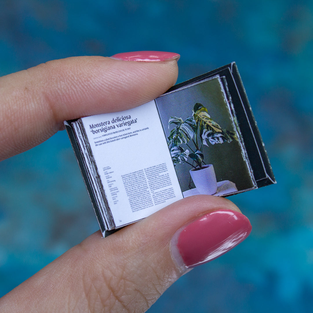 TEMPLATE Miniature book about plant | PDF