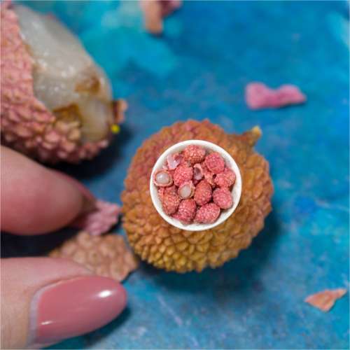 TUTORIAL Miniature litchi with polymer clay | PDF + video