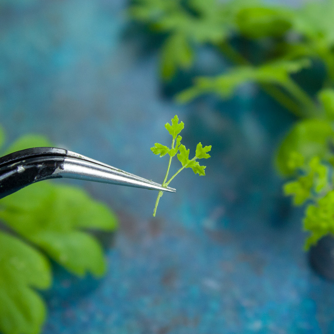 TUTORIAL Miniature parsley with air dry clay | PDF + video