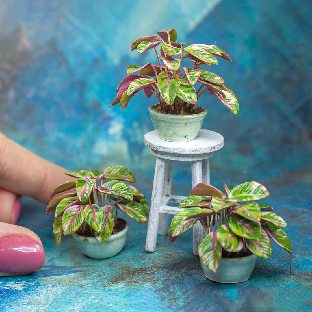 TUTORIAL Miniature stromanthe plant with polymer clay | PDF + video