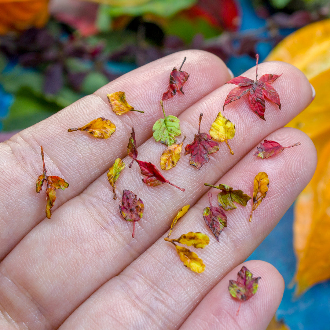 TUTORIAL Miniature autumn leaves with air dry clay | PDF + video