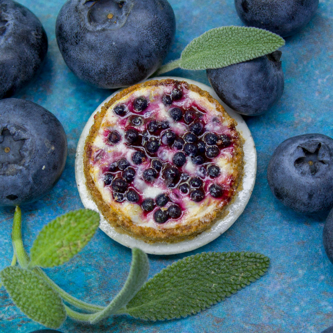 TUTORIAL Miniature blueberry cheesecake with polymer clay | PDF + video