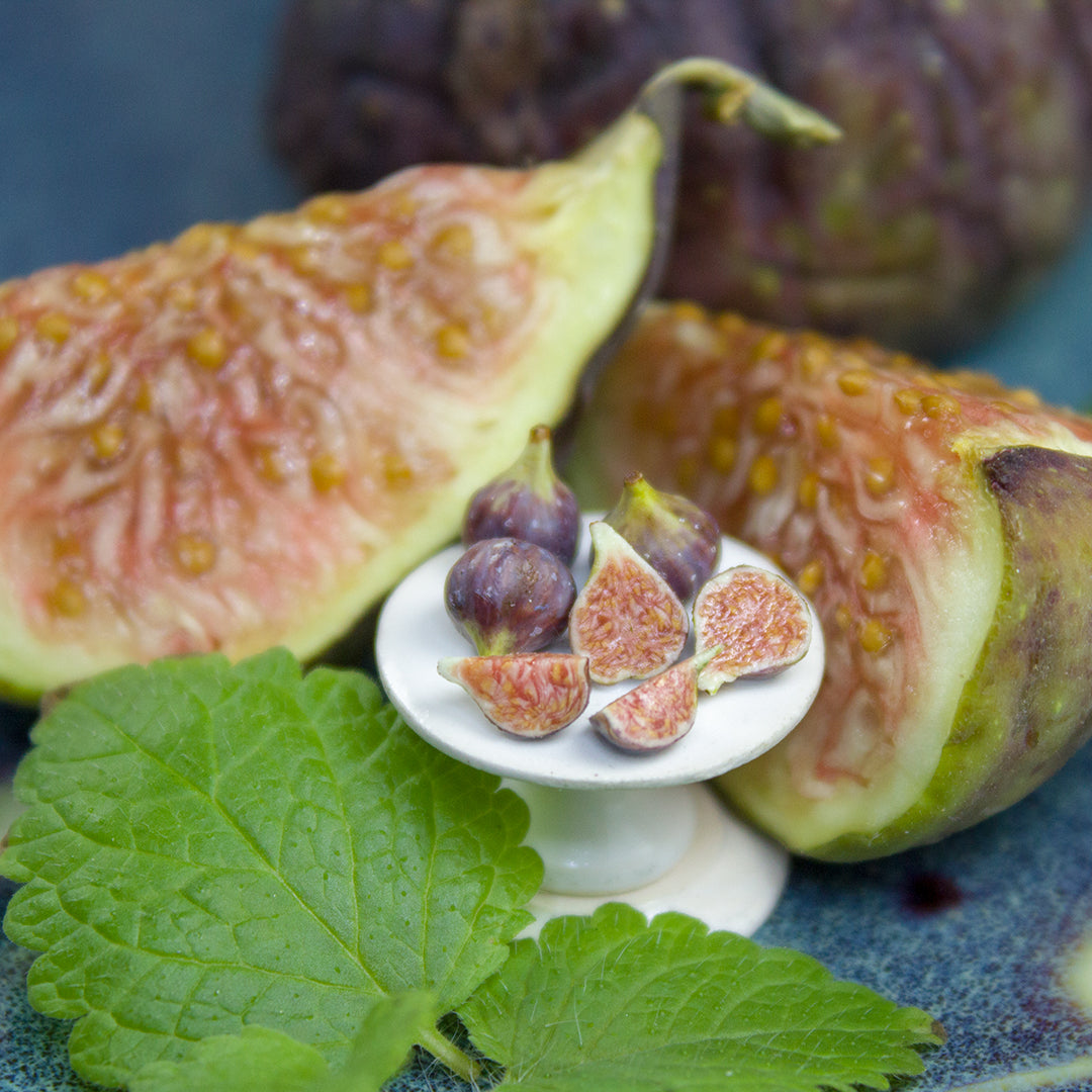 TUTORIAL Miniature fig cane with polymer clay | PDF + video