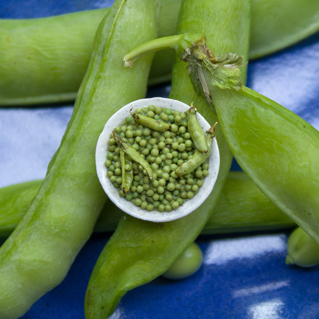 TUTORIAL Miniature peas with polymer clay | PDF + video