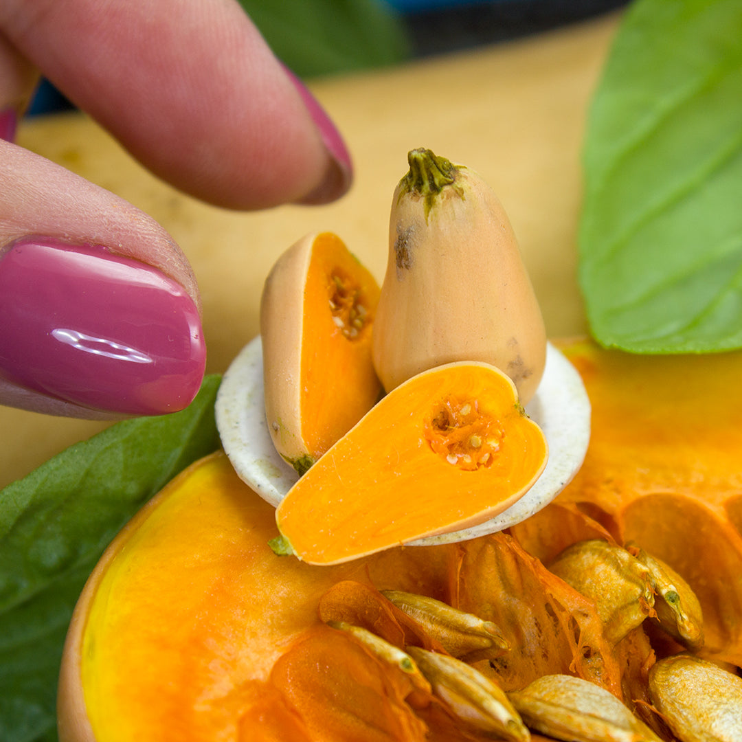 TUTORIAL Miniature bottle pumpkin / miniature butternut squash with polymer clay | PDF + video