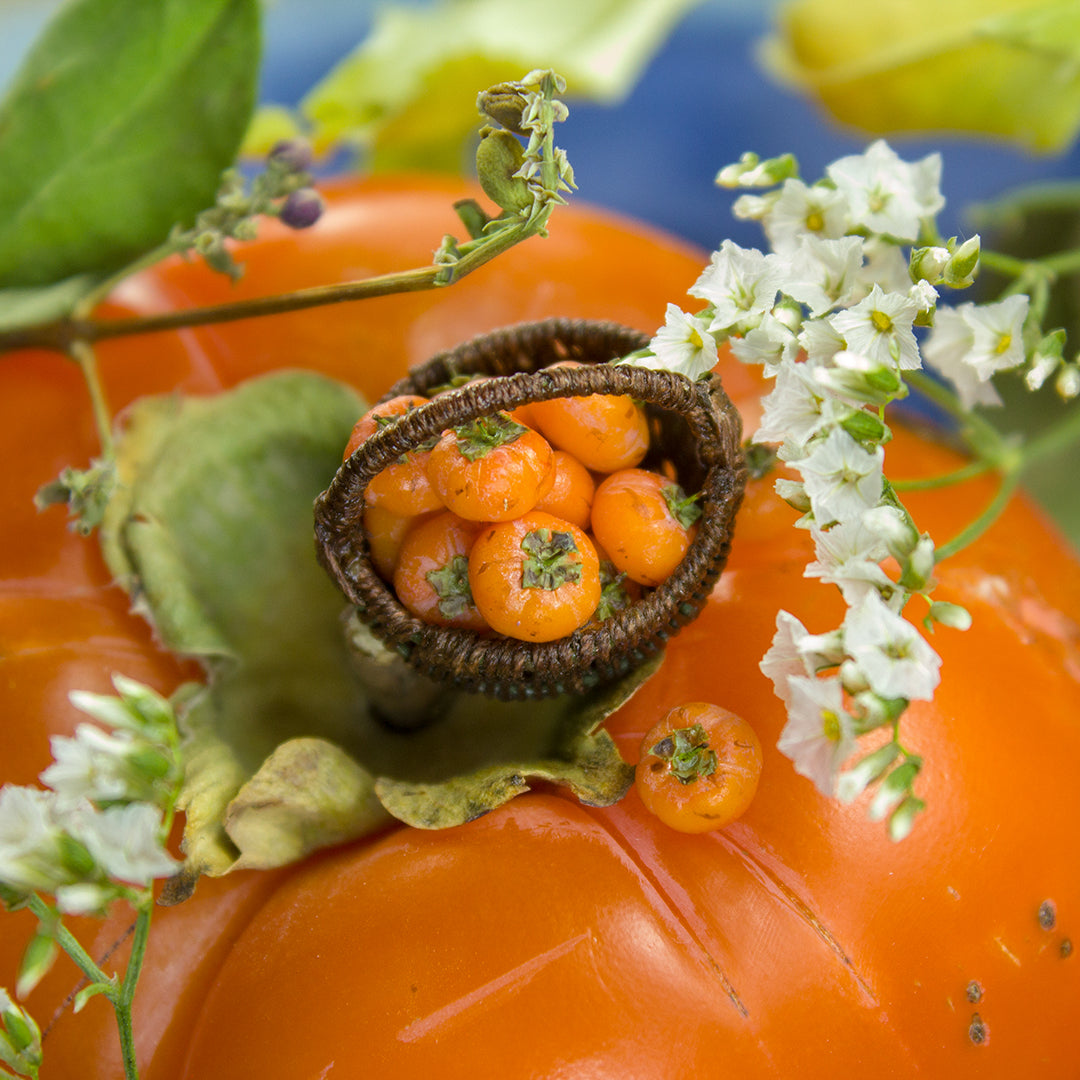 TUTORIAL Miniature persimmon with polymer clay | PDF + video
