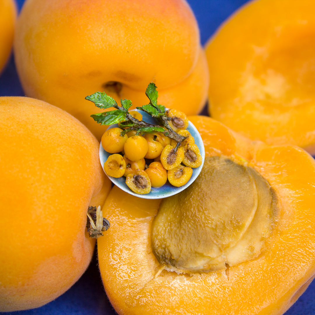 TUTORIAL Miniature apricot with polymer clay | PDF + video