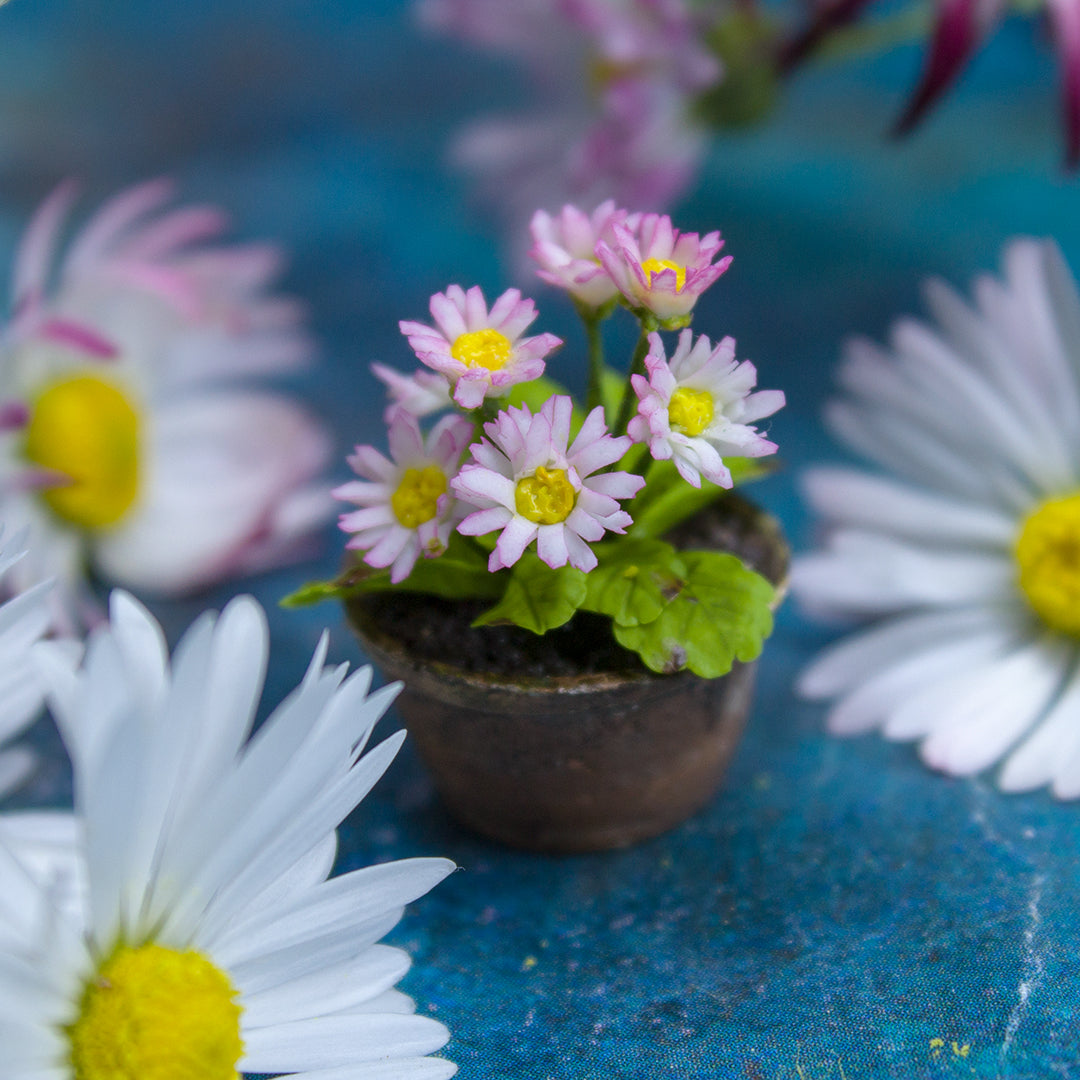 TUTORIAL Miniature daisies with air dry clay | PDF + video