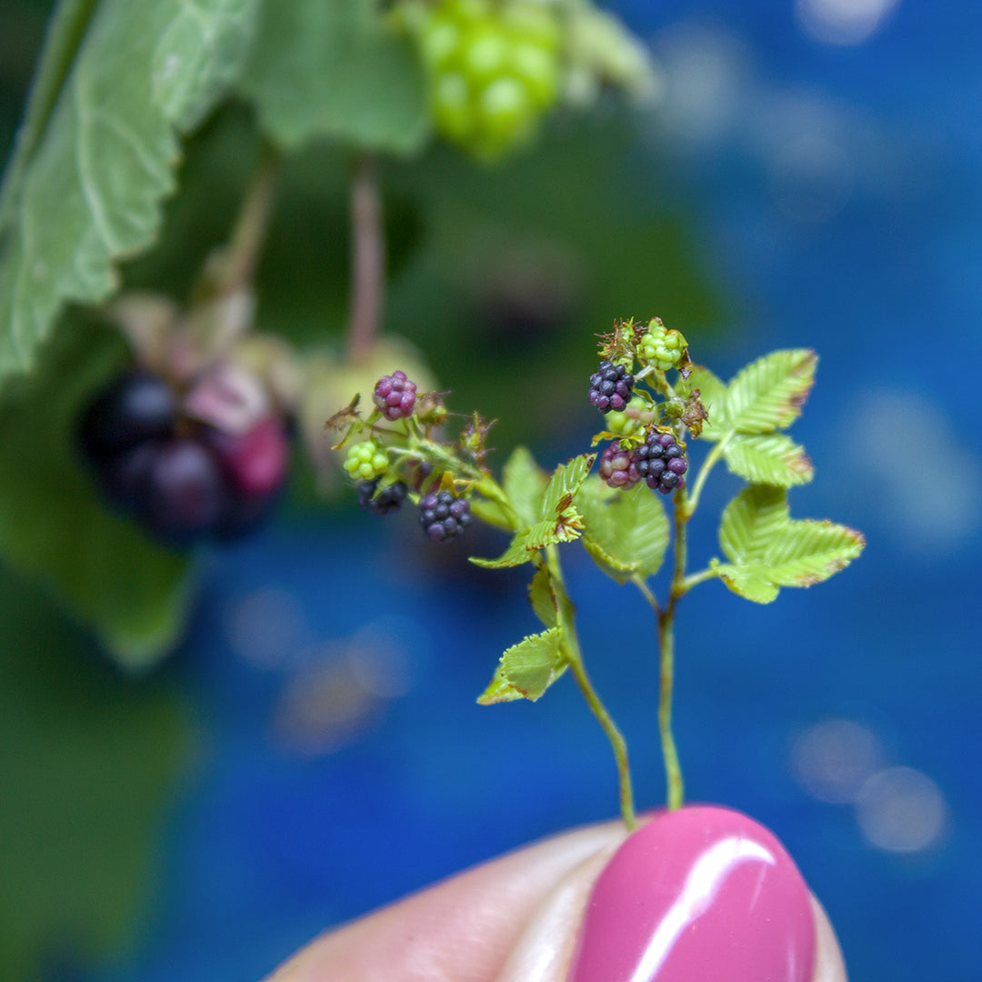 TUTORIAL Miniature blackberry branch with polymer clay for 1:12 scale dollhouse | PDF + video