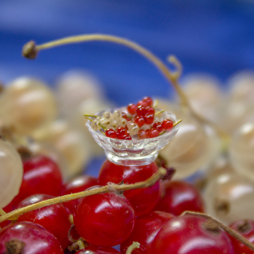 TUTORIAL Miniature red currants with polymer clay | PDF + video