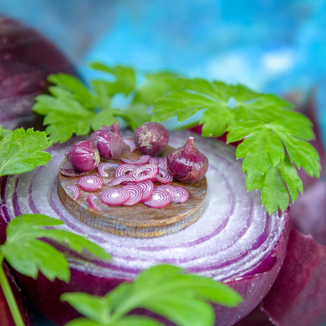 TUTORIAL Miniature red onion with polymer clay | PDF + video