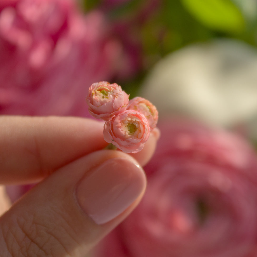 TUTORIAL Miniature ranunculus with air dry clay | PDF + video