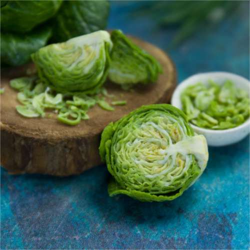 TUTORIAL Miniature cabbage cane with polymer clay | PDF + video