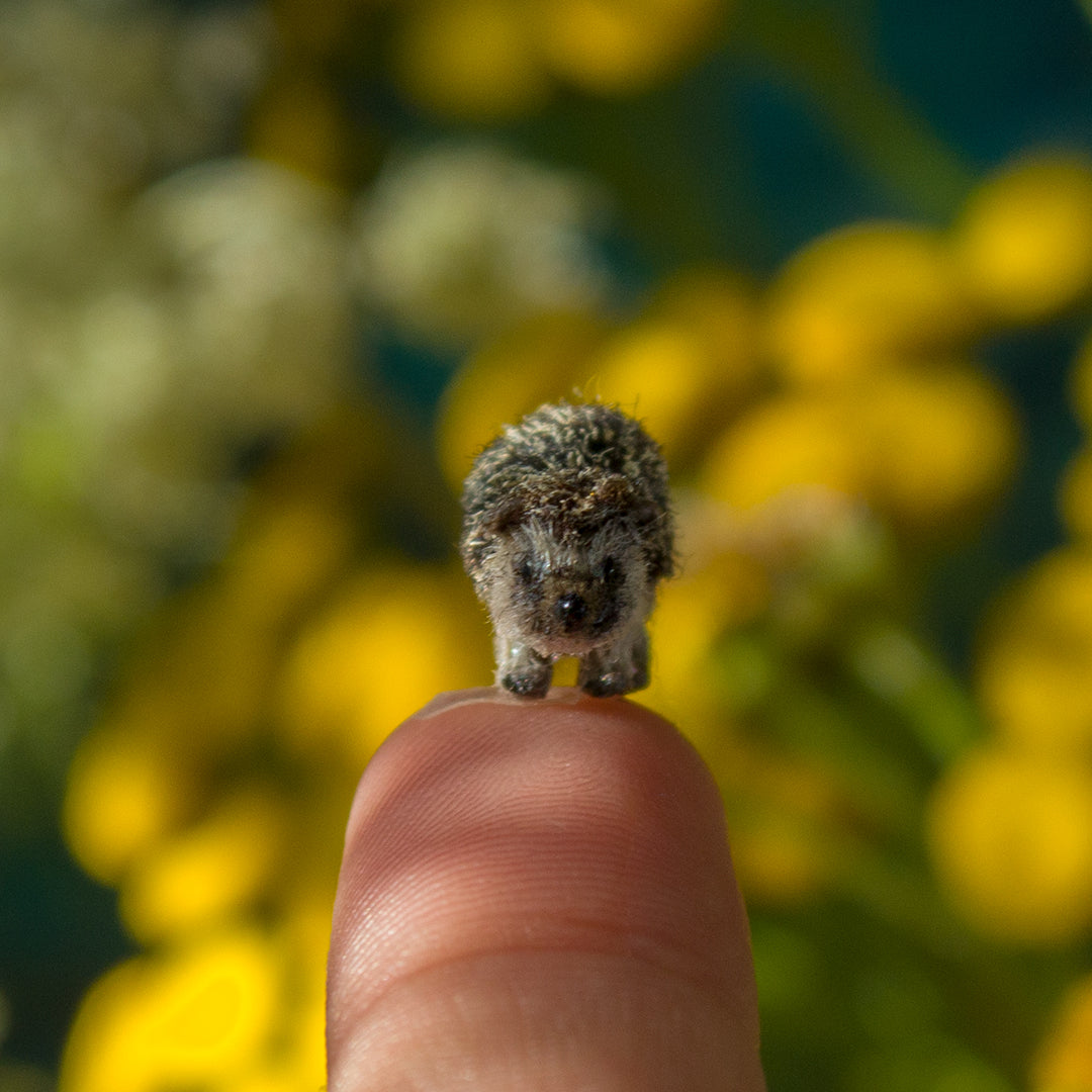 Tiny handmade hedgehog miniature for dollhouse in 1:12 scale 1