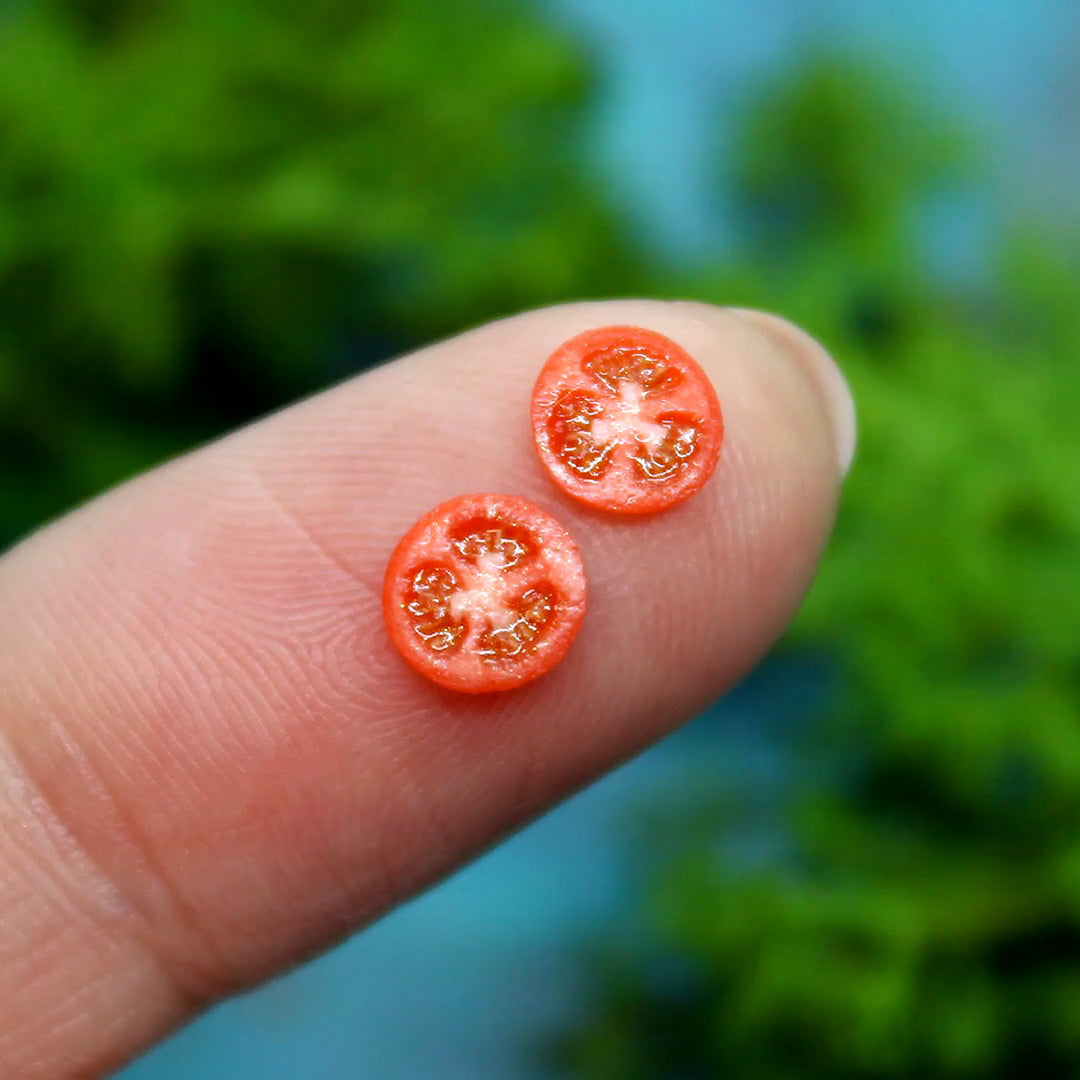 TUTORIAL Miniature polymer clay tomato cane for 1:12 scale dollhouse | PDF + video