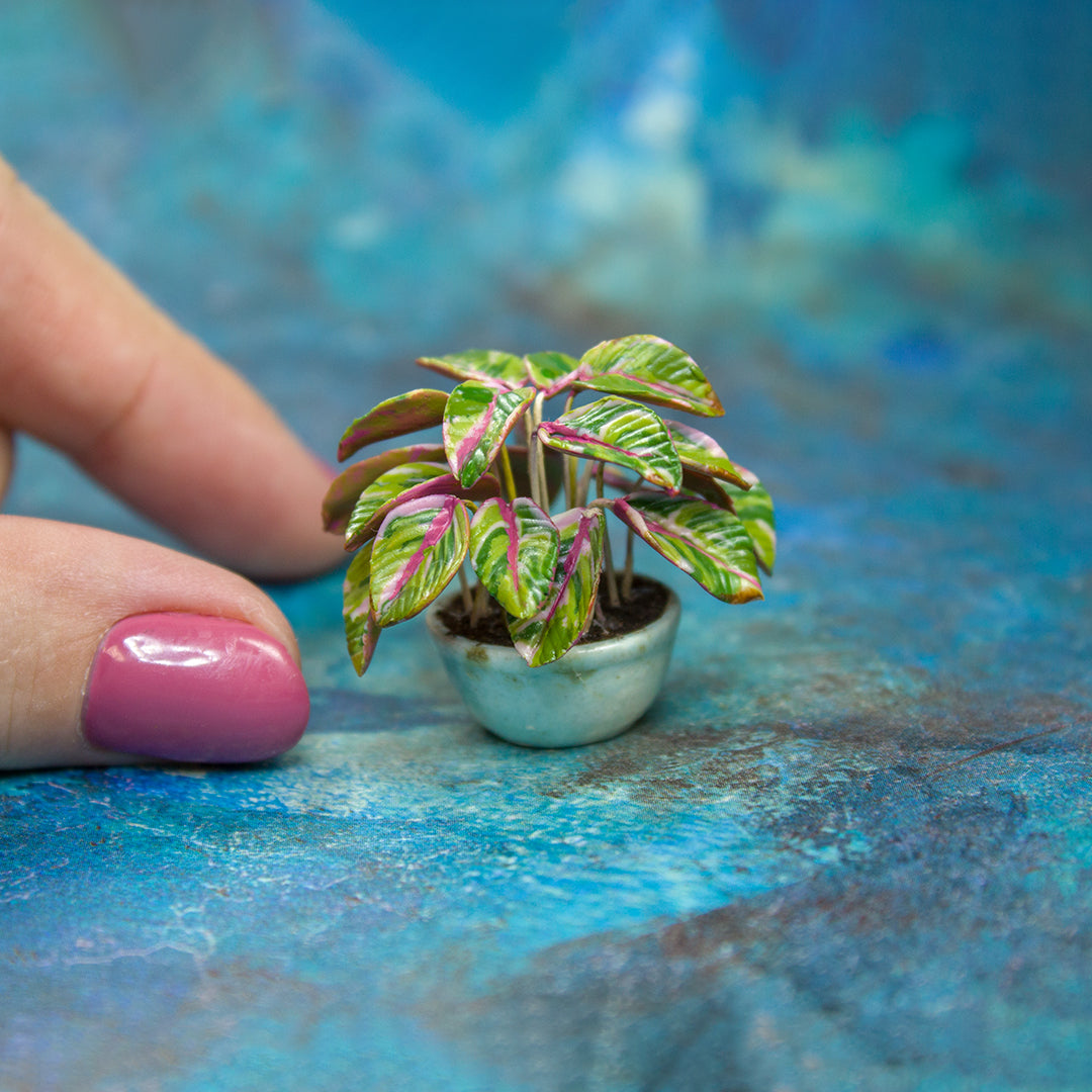 TUTORIAL Miniature stromanthe plant with polymer clay | PDF + video