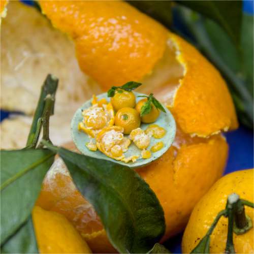 TUTORIAL Miniature mandarin with polymer and air dry clay for 1:12 scale dollhouse | PDF + video