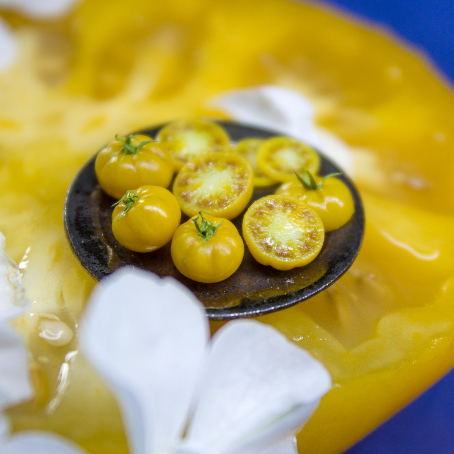 TUTORIAL Miniature big yellow tomato cane with polymer clay | PDF + video
