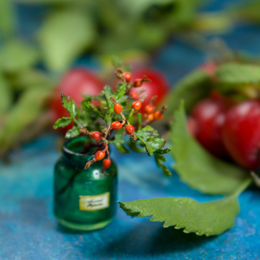 TUTORIAL Miniature rosehip sprig with air dry clay | PDF + video