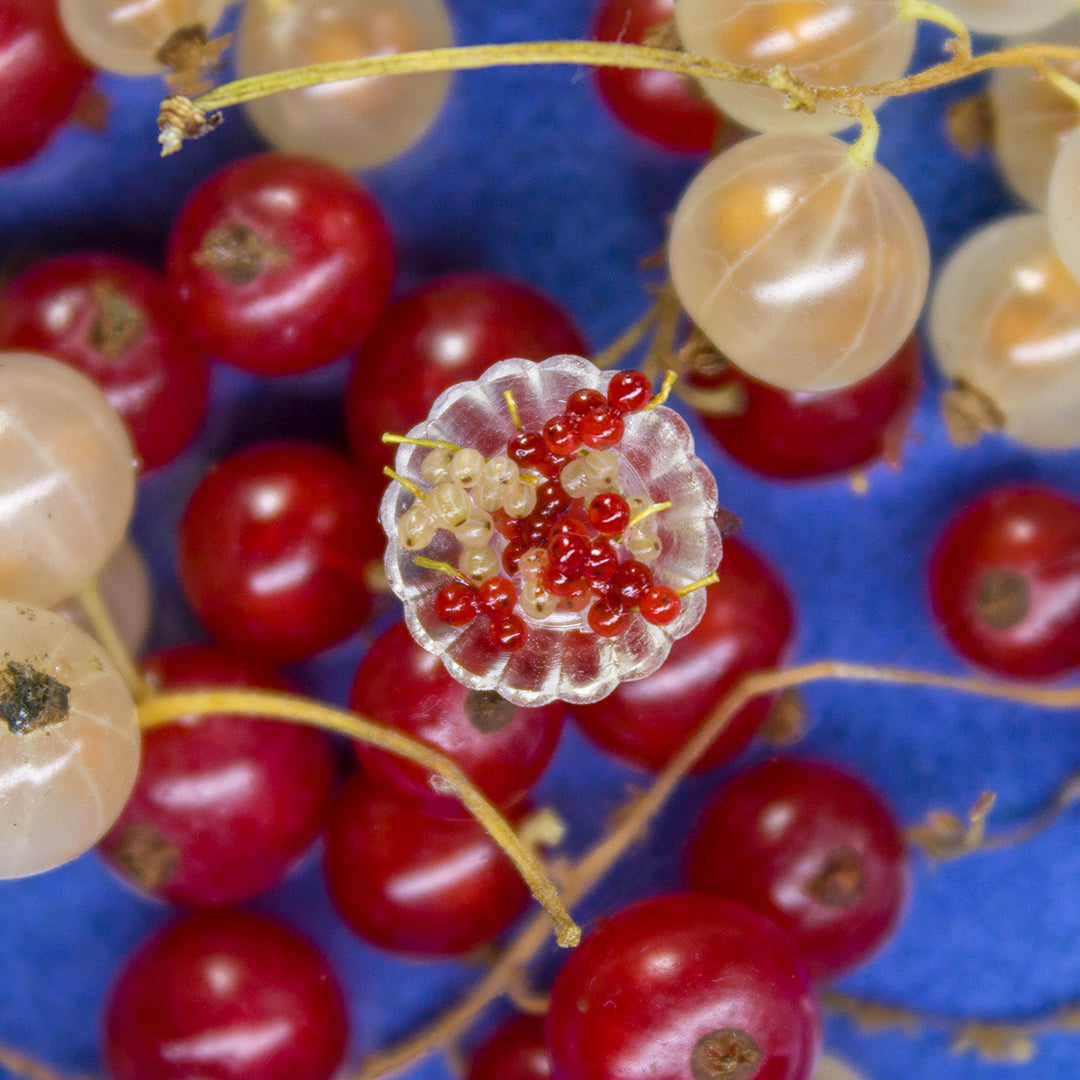 TUTORIAL Miniature red currants with polymer clay | PDF + video