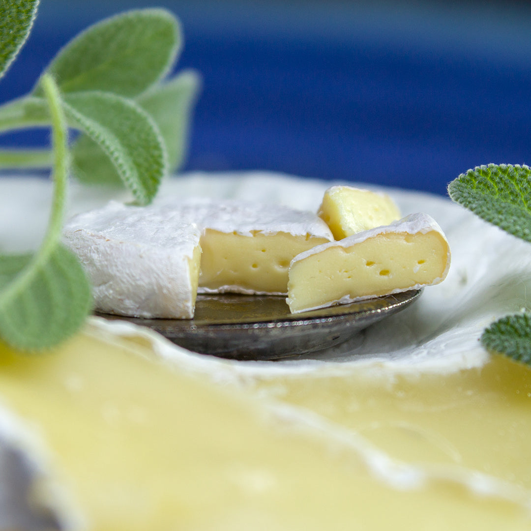 TUTORIAL Miniature Camembert cheese with polymer clay | PDF + video