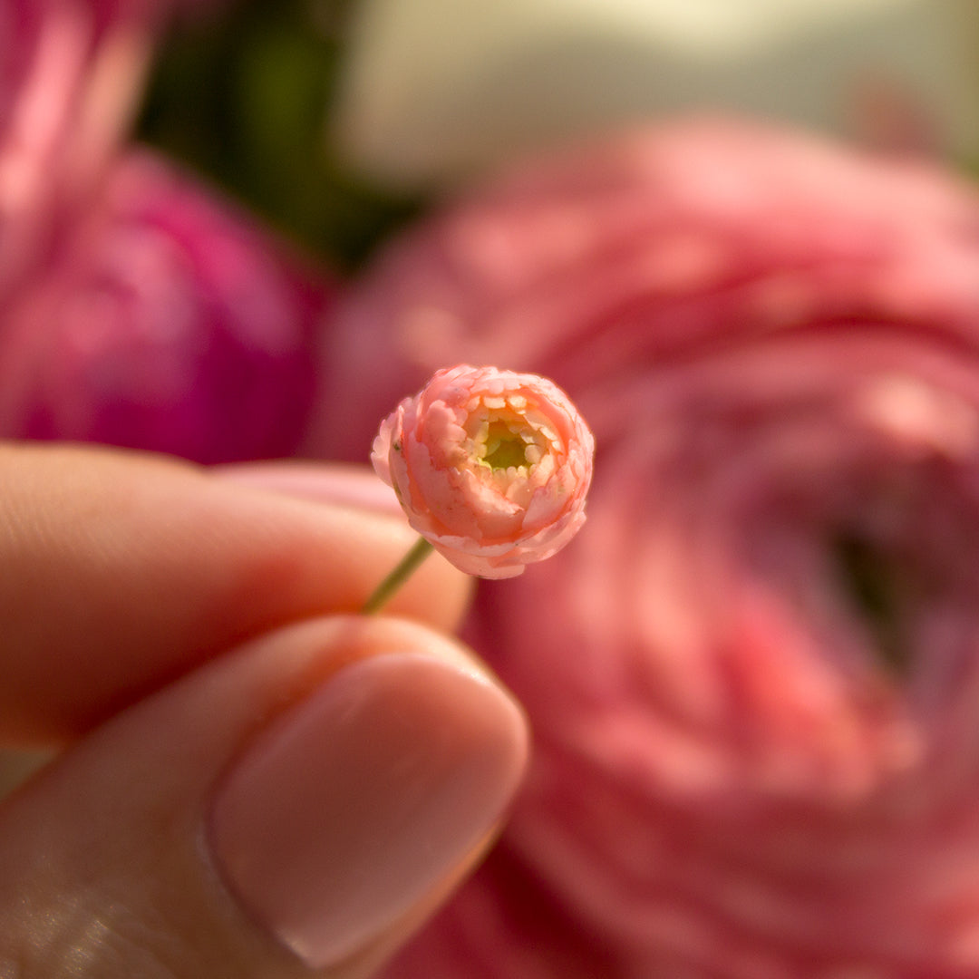 TUTORIAL Miniature ranunculus with air dry clay | PDF + video