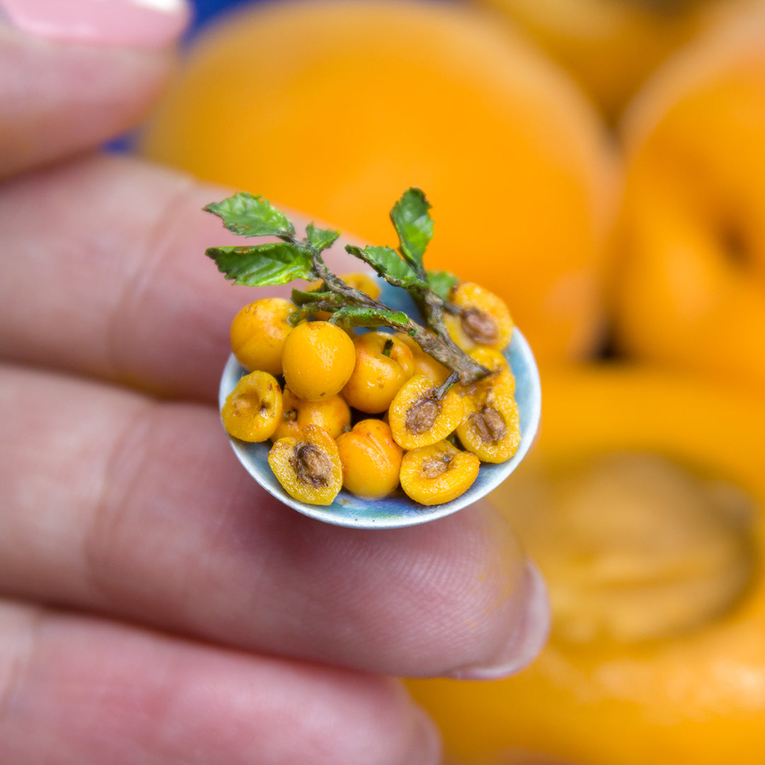 TUTORIAL Miniature apricot with polymer clay | PDF + video
