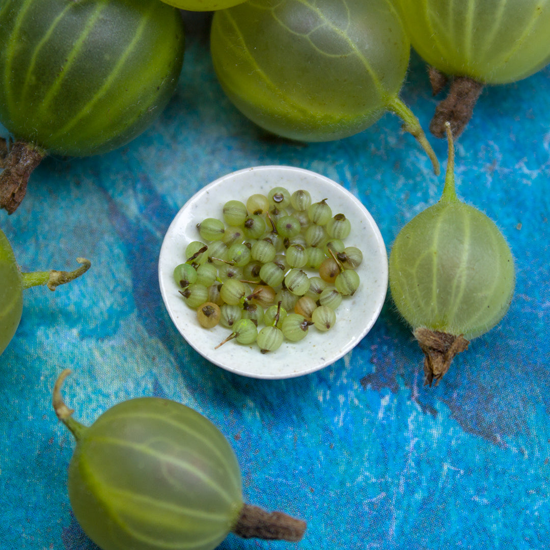 TUTORIAL Miniature gooseberries with polymer clay | PDF + video