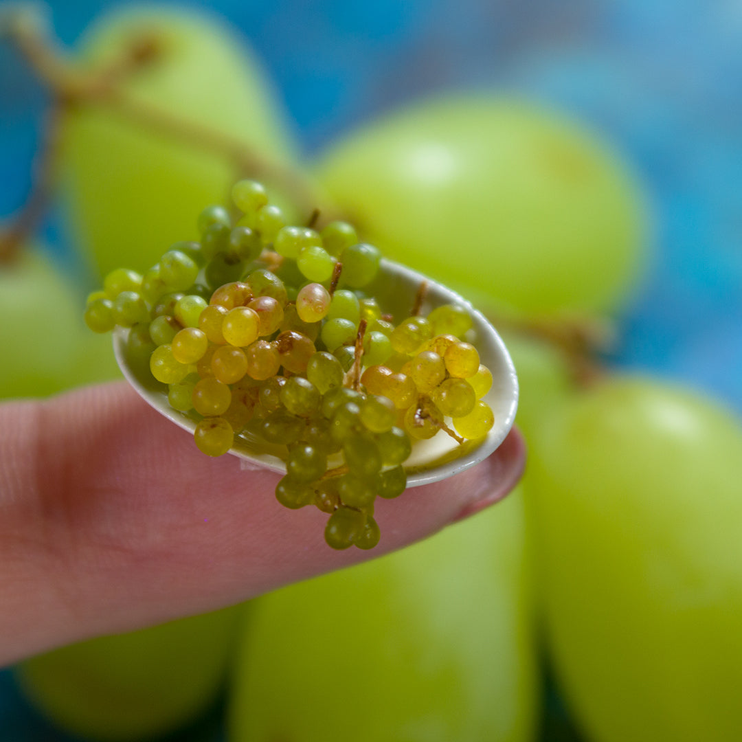 TUTORIAL Miniature grape with polymer clay | PDF + video