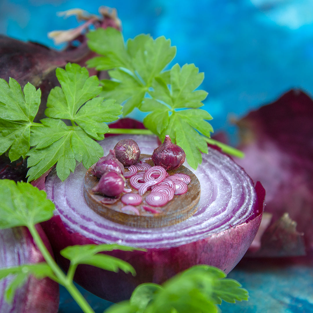 TUTORIAL Miniature red onion with polymer clay for 1:12 scale dollhouse | PDF + video