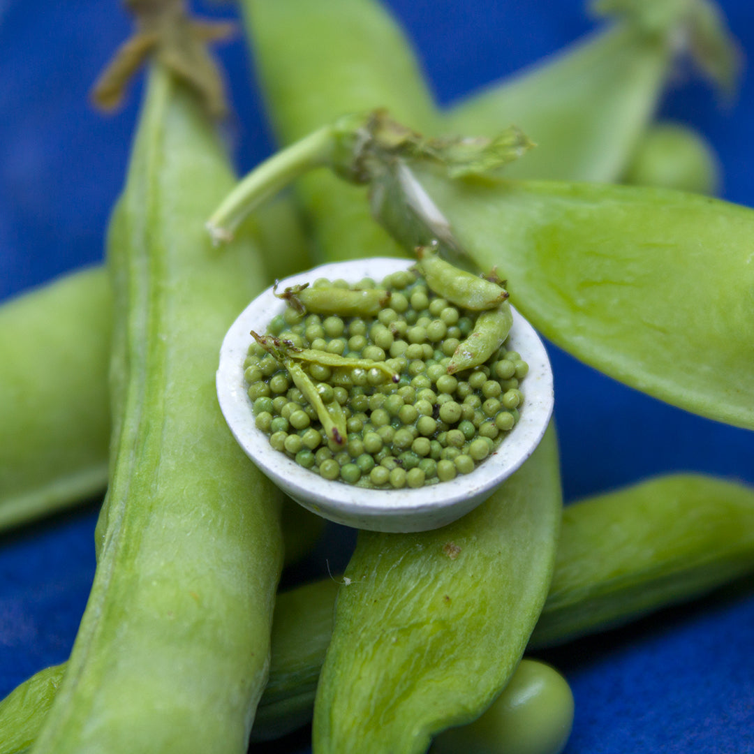 TUTORIAL Miniature peas with polymer clay | PDF + video
