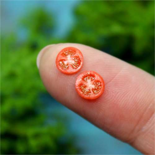 TUTORIAL Miniature polymer clay tomato cane for 1:12 scale dollhouse | PDF + video