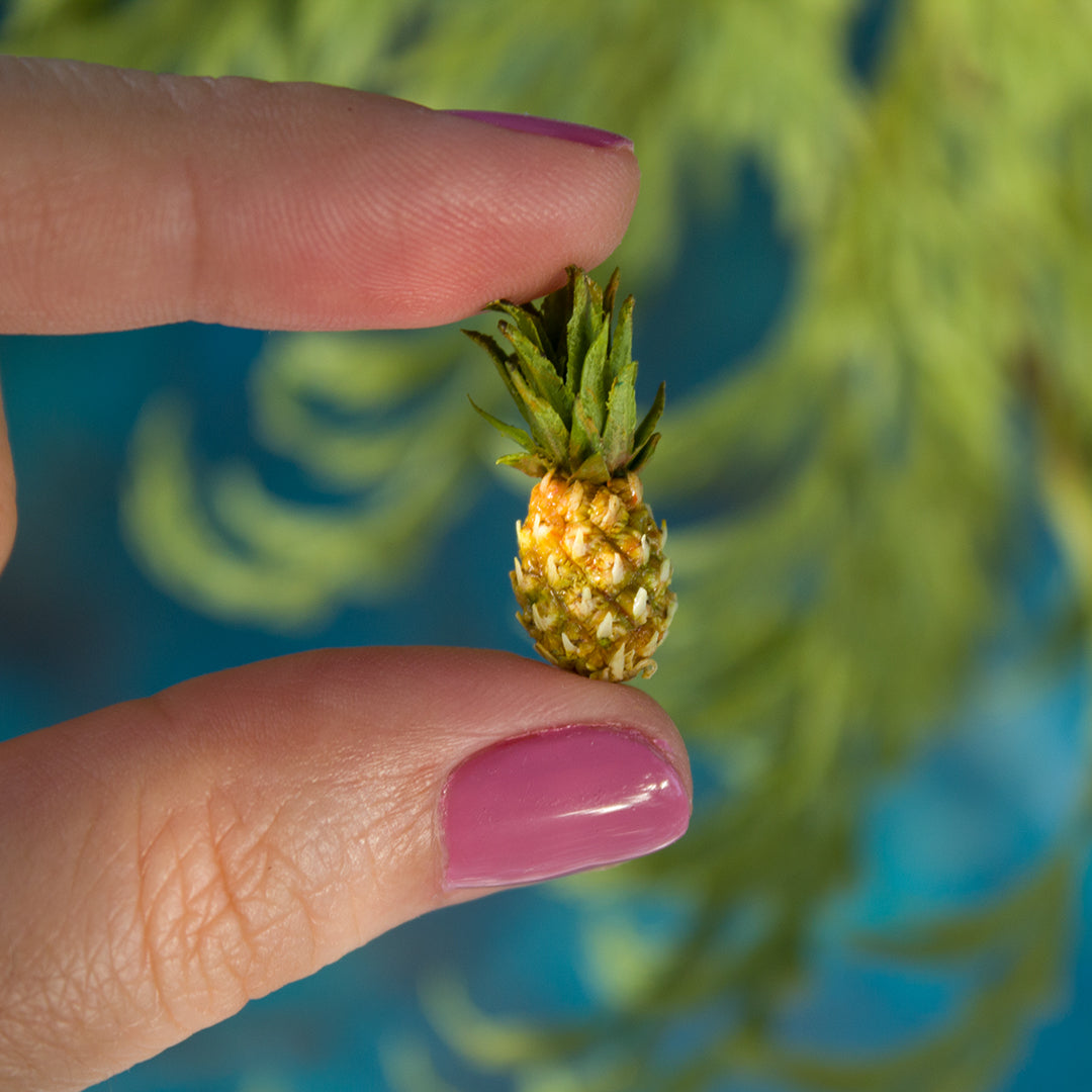 Miniature pineapple for dollhouse in 1:12 scale - Rina Vellichor