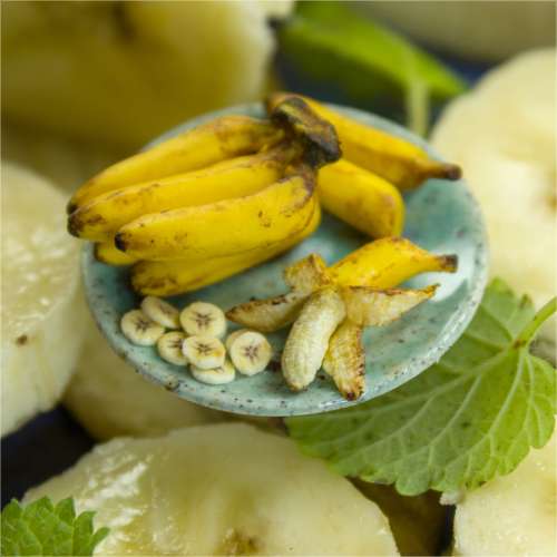 TUTORIAL Miniature banana cane with polymer clay for 1:12 scale dollhouse | PDF + video
