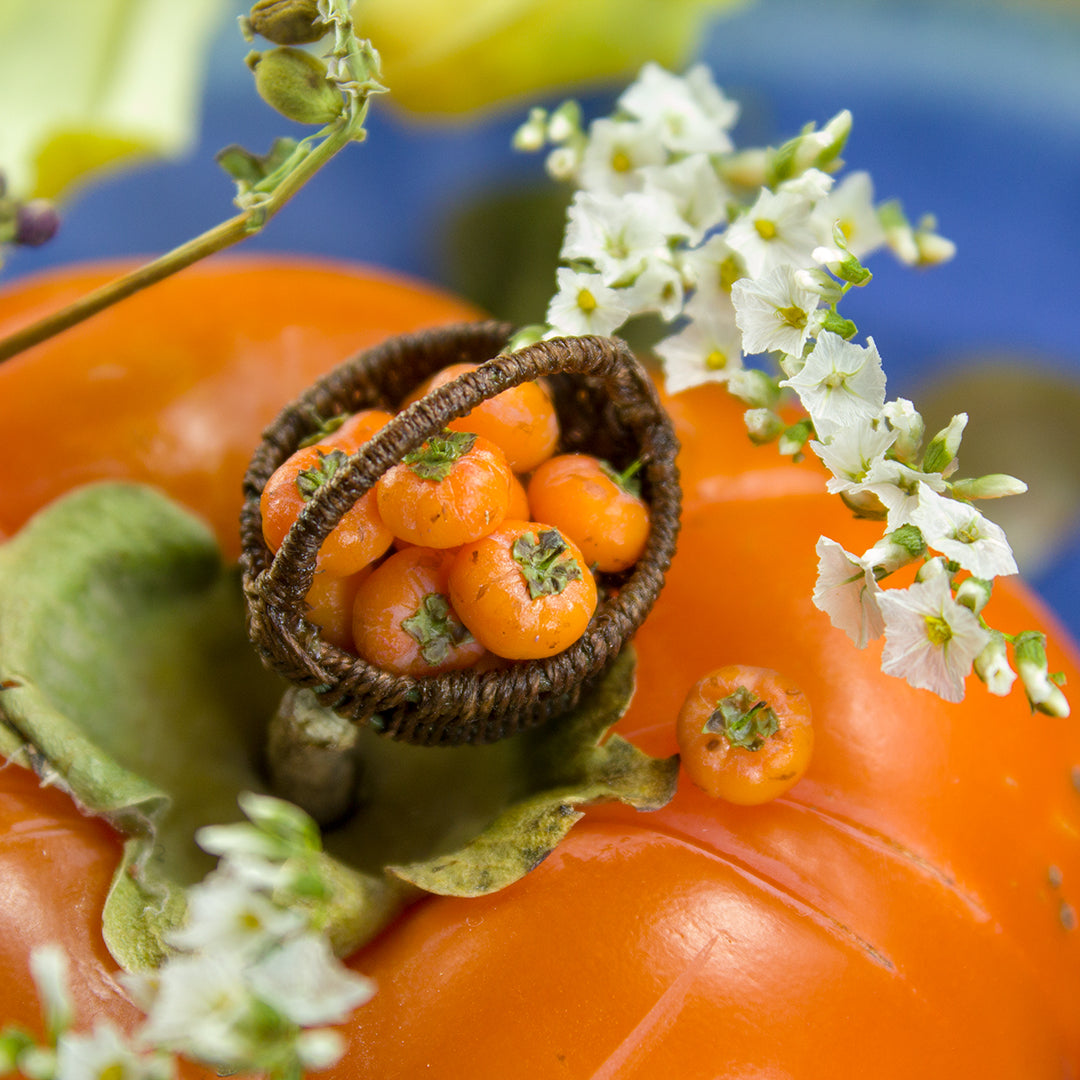 TUTORIAL Miniature persimmon with polymer clay | PDF + video