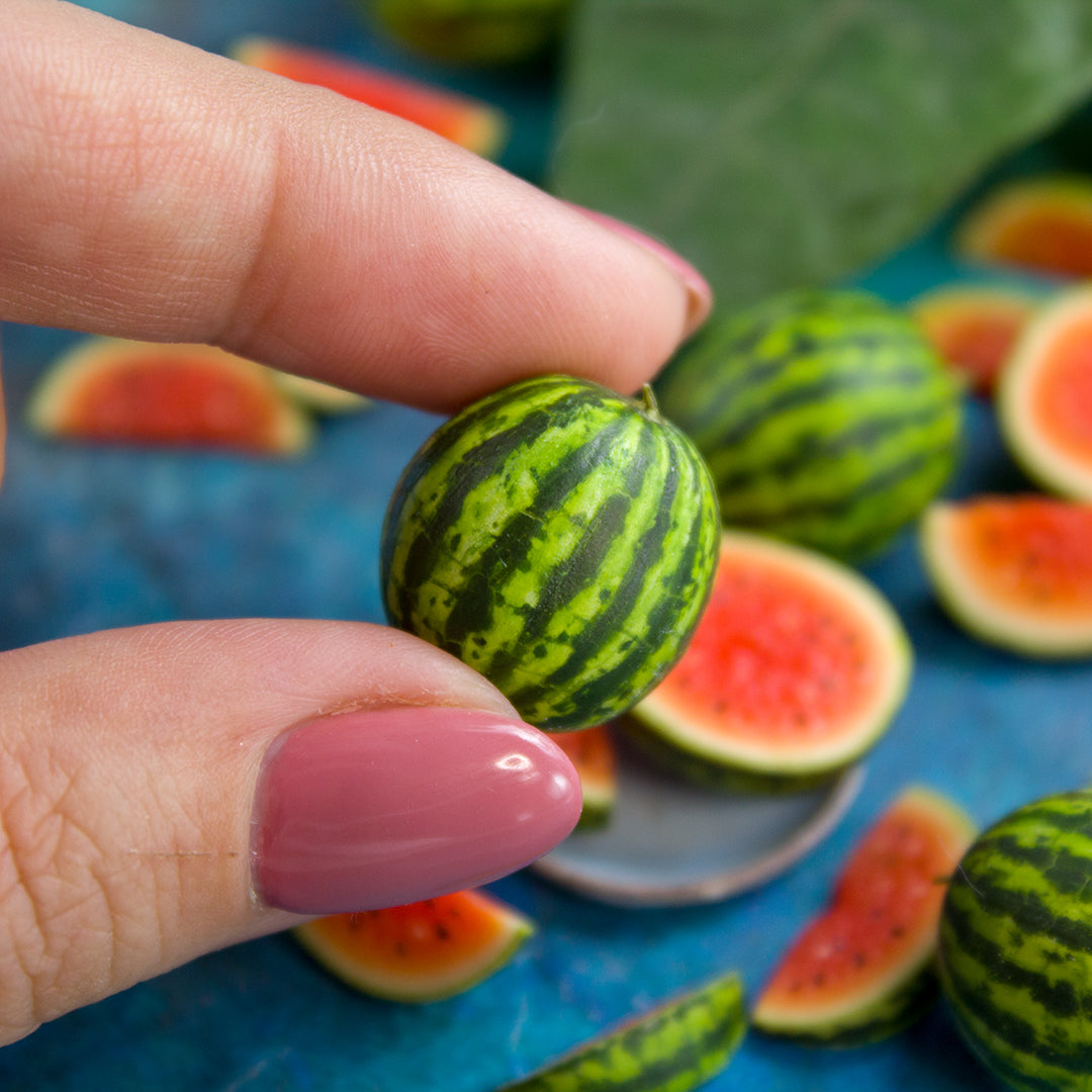 TUTORIAL Miniature Watermelon with polymer clay | PDF + video