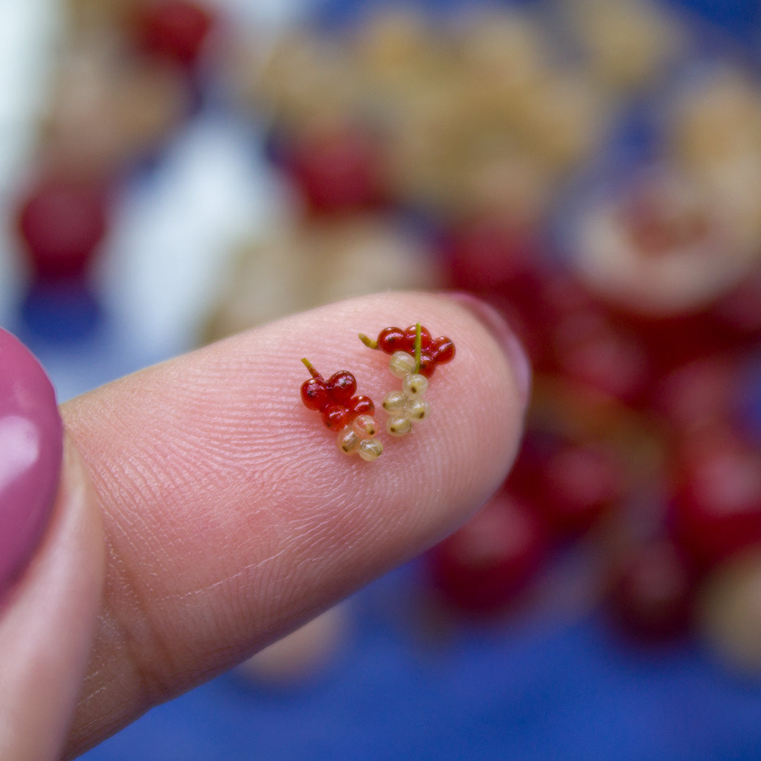 TUTORIAL Miniature red currants with polymer clay | PDF + video