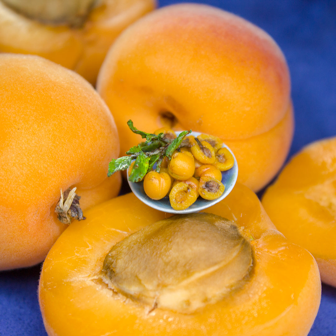 TUTORIAL Miniature apricot with polymer clay | PDF + video