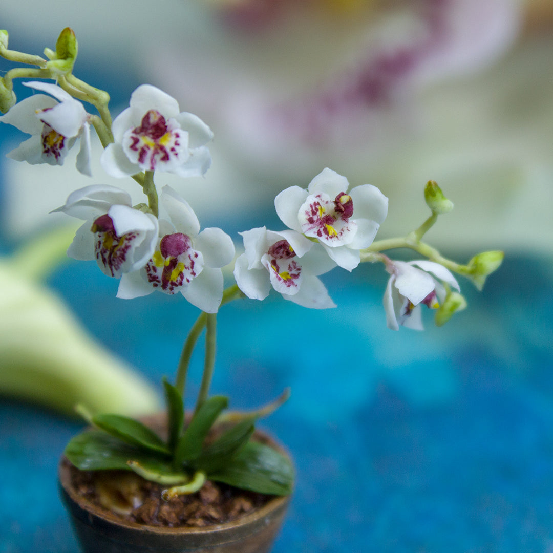 TUTORIAL Miniature orchid with air dry clay | PDF + video