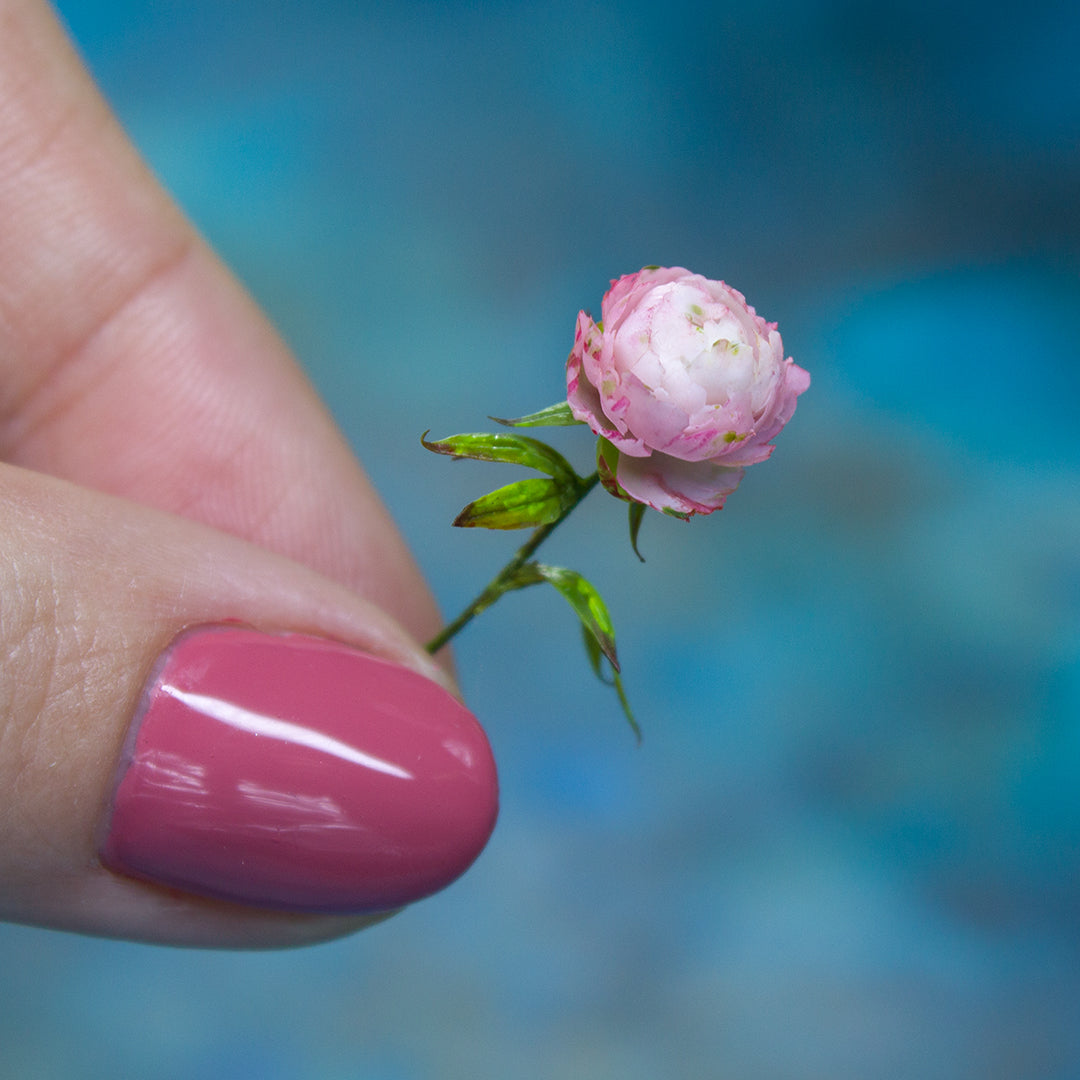 TUTORIAL Miniature peony with air dry clay for 1:12 scale dollhouse | PDF + video